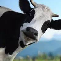 20170317165055385538