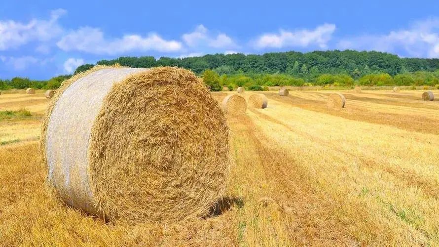 20230302105536793679