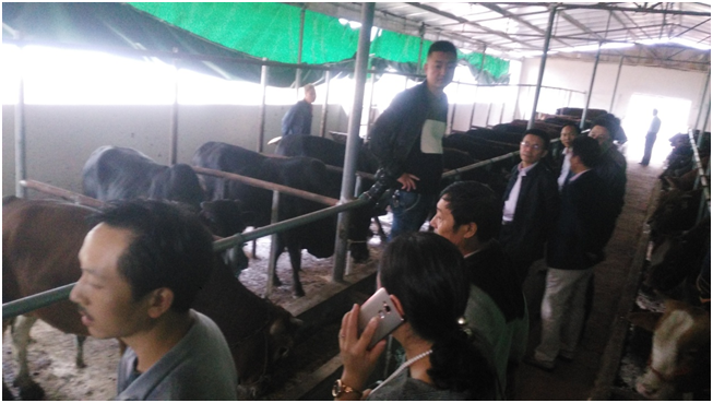 �ʶ�����(�й���) - �ٷ���վ