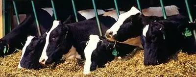 �ʶ�����(�й���) - �ٷ���վ