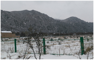 �ʶ�����(�й���) - �ٷ���վ