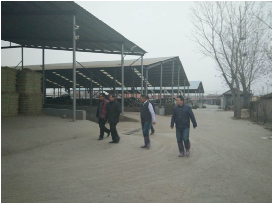 �ʶ�����(�й���) - �ٷ���վ