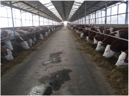 �ʶ�����(�й���) - �ٷ���վ