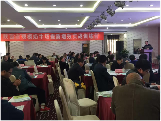 �ʶ�����(�й���) - �ٷ���վ