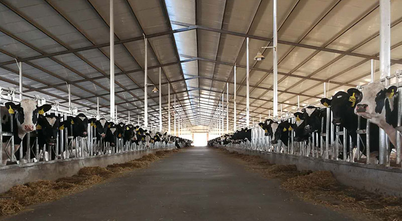 �ʶ�����(�й���) - �ٷ���վ