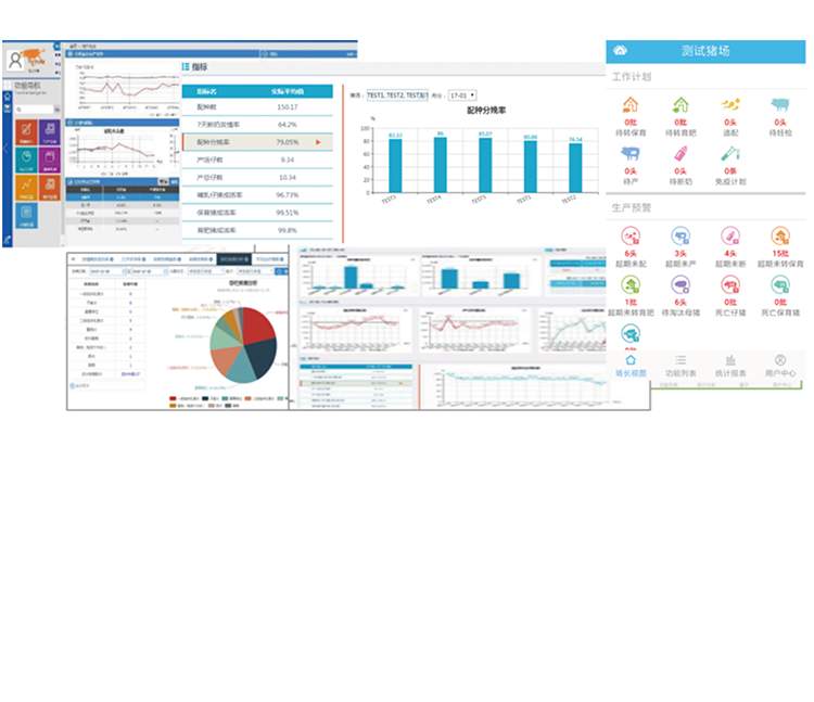 �ʶ�����(�й���) - �ٷ���վ