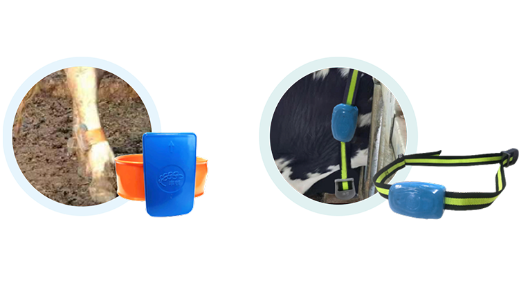 �ʶ�����(�й���) - �ٷ���վ