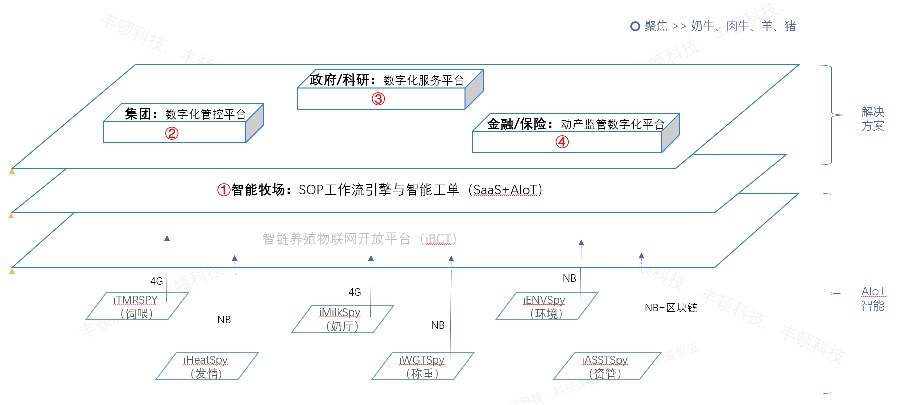 �ʶ�����(�й���) - �ٷ���վ