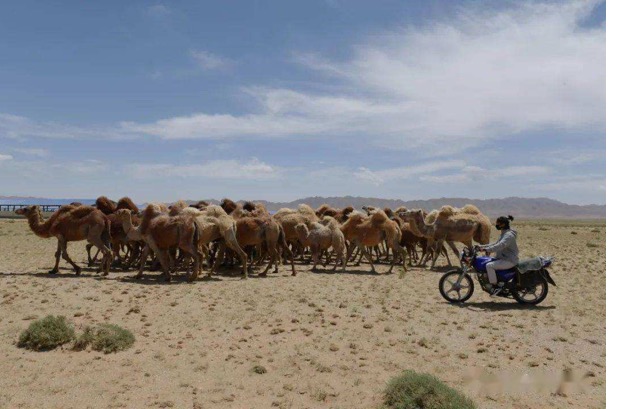 �ʶ�����(�й���) - �ٷ���վ