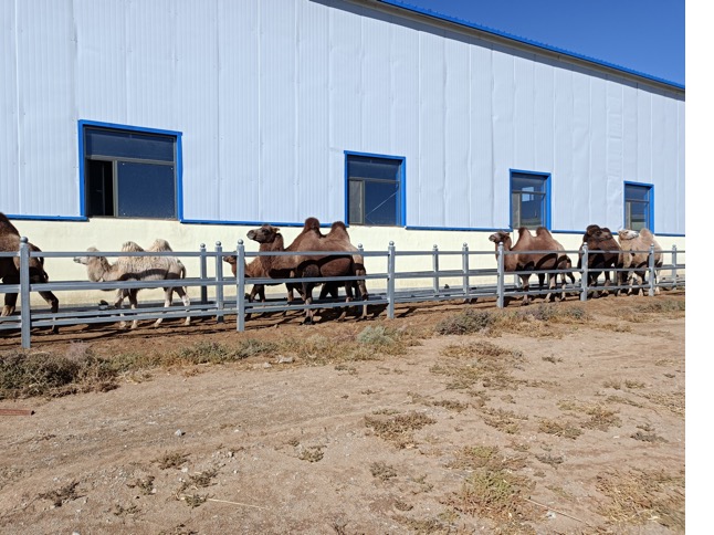 �ʶ�����(�й���) - �ٷ���վ