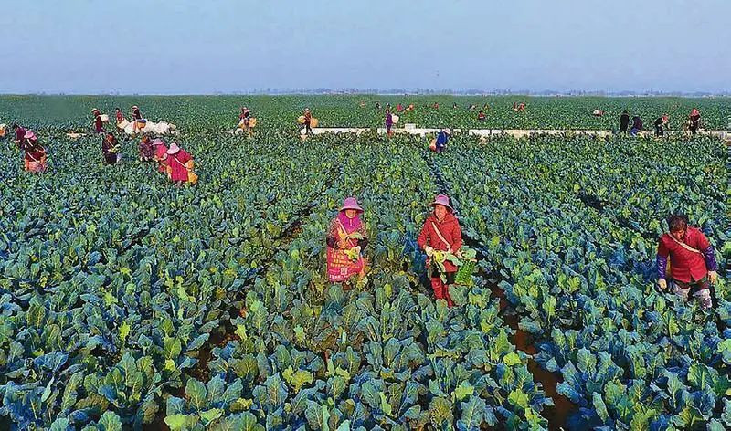 �ʶ�����(�й���) - �ٷ���վ