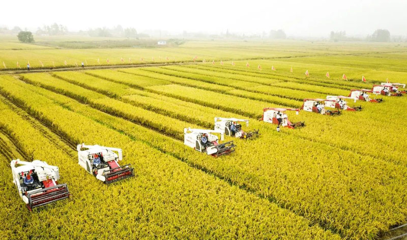 �ʶ�����(�й���) - �ٷ���վ