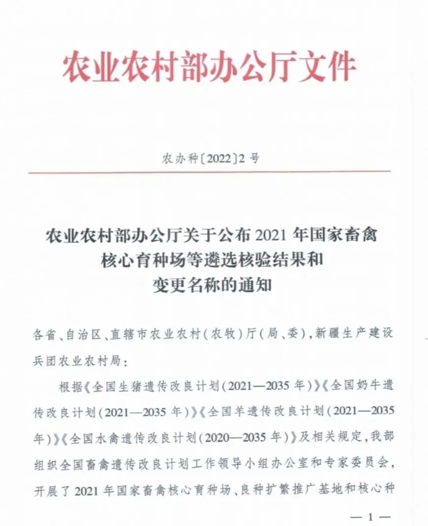 �ʶ�����(�й���) - �ٷ���վ