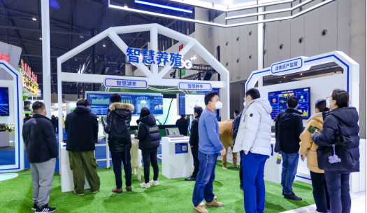 �ʶ�����(�й���) - �ٷ���վ