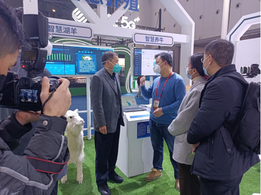 �ʶ�����(�й���) - �ٷ���վ