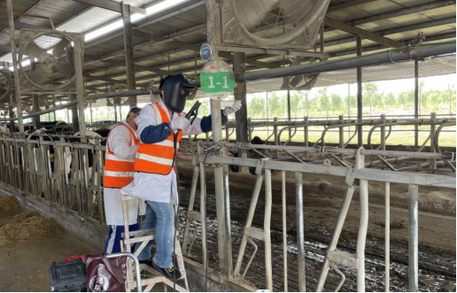 �ʶ�����(�й���) - �ٷ���վ