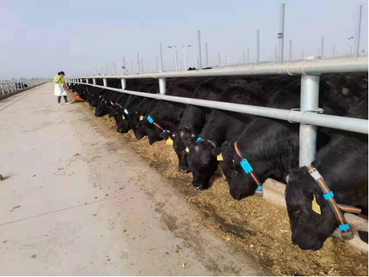 �ʶ�����(�й���) - �ٷ���վ